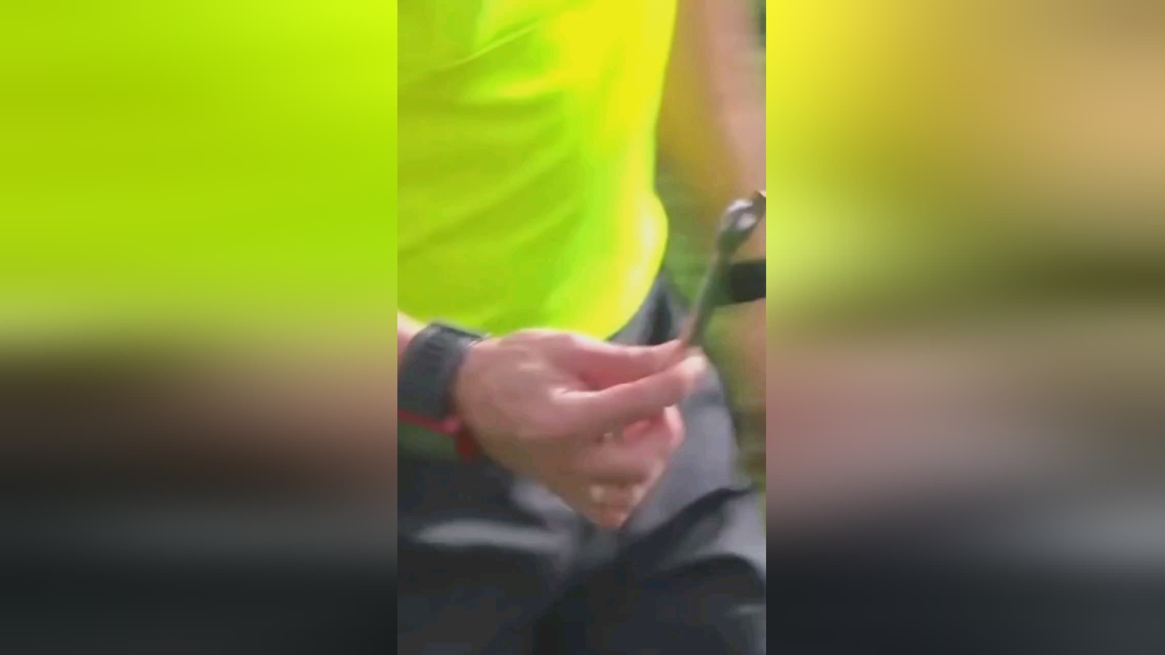 惑当然这种